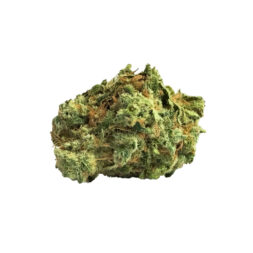 Bruce Banner CBD - Fleurs de CBD