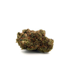 Bruce Banner CBD - Fleurs de CBD