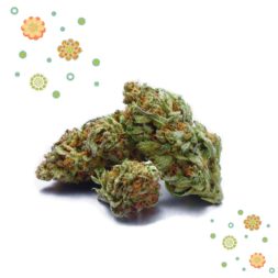 Box coffret cadeau CBD : Flowers Pack Découverte CBD 5g