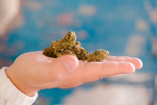 Comment Utiliser La Fleur De Cbd