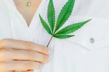 Quelles Sont Les Proprietes Du Cbd Dans Le Domaine De La Beaute Et Des Cosmetiques
