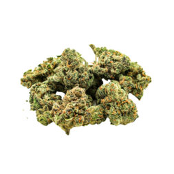 Cheese Cake - Fleurs de CBD