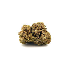 Cheese Cake - Fleurs de CBD