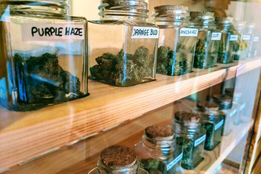 Ou Acheter Fleurs Cbd Nice