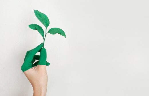 Cbd Ultra Puissant