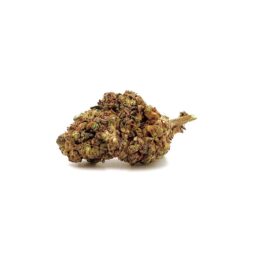 AMG CBD - Fleurs de CBD