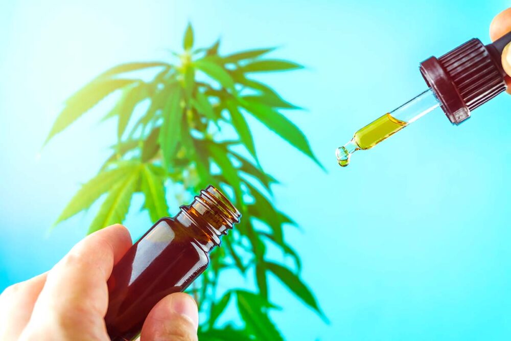 Guide pour choisir l'huile de CBD idéale selon vos besoins - Flowers Power