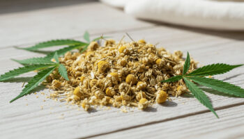 Plantes Infusion Cbd 1