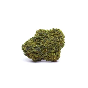 White Shark CBD - Fleurs CBD