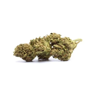 Gazolina CBD - Fleurs CBD