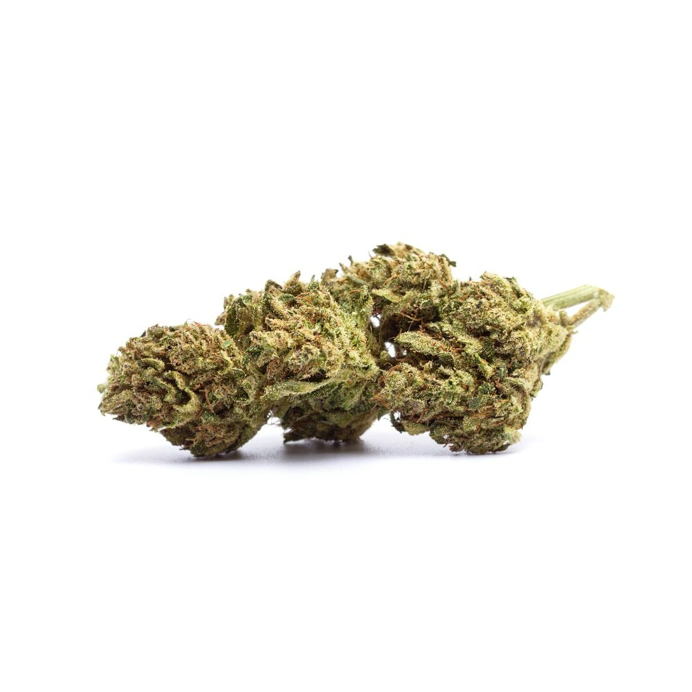 Gazolina CBD - Fleurs CBD