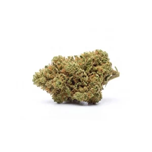 Sunset Sherbet CBD